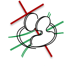 Missão SAL