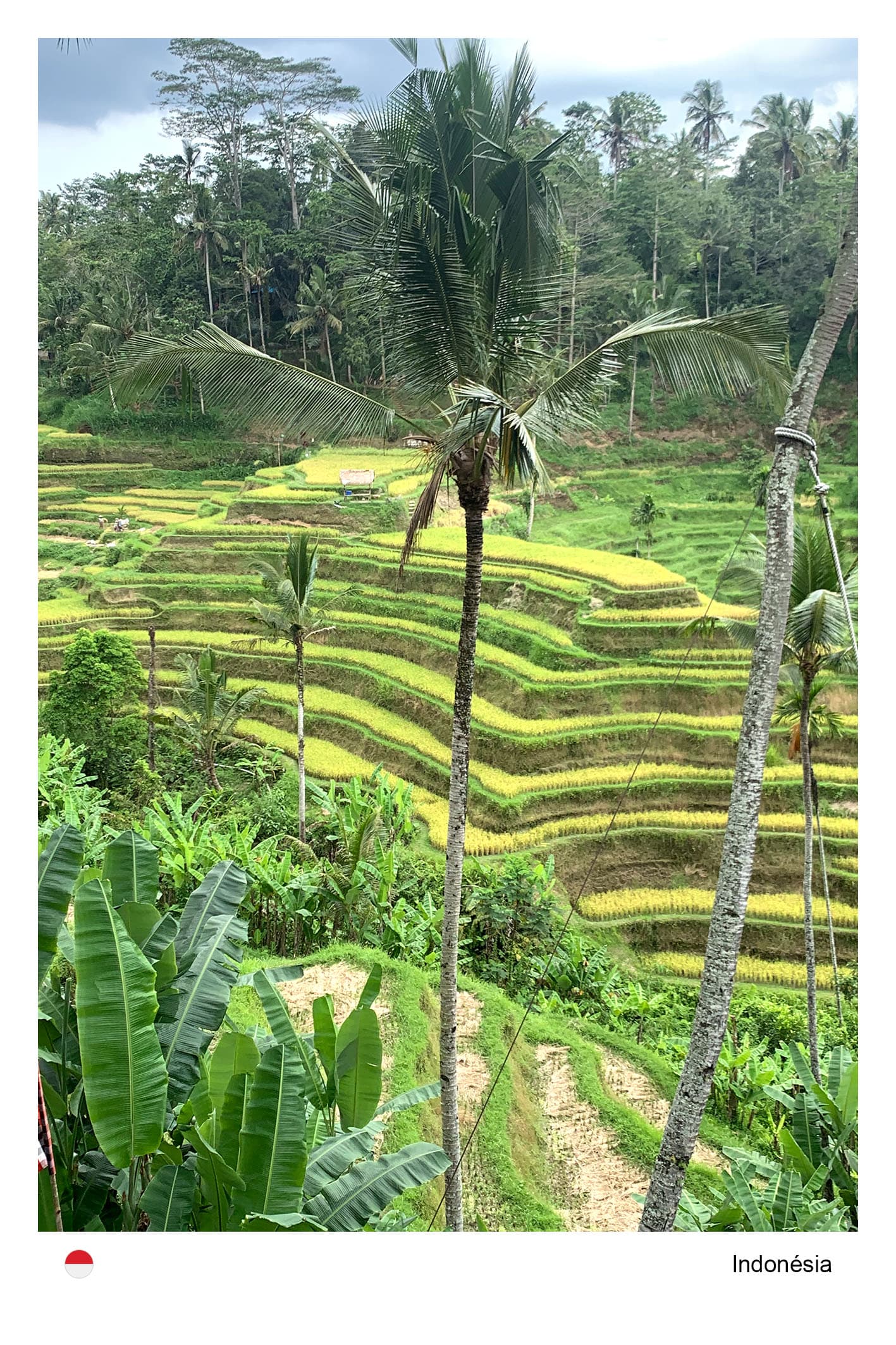 Indonésia